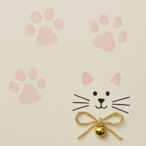 Kindergeburtstag Einladungen Katze